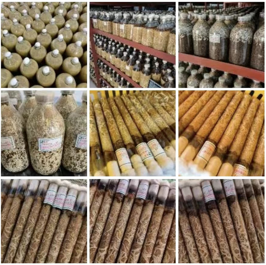 圖片關鍵詞