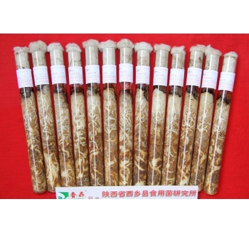 天麻蜜環(huán)菌母種、原種、栽培種